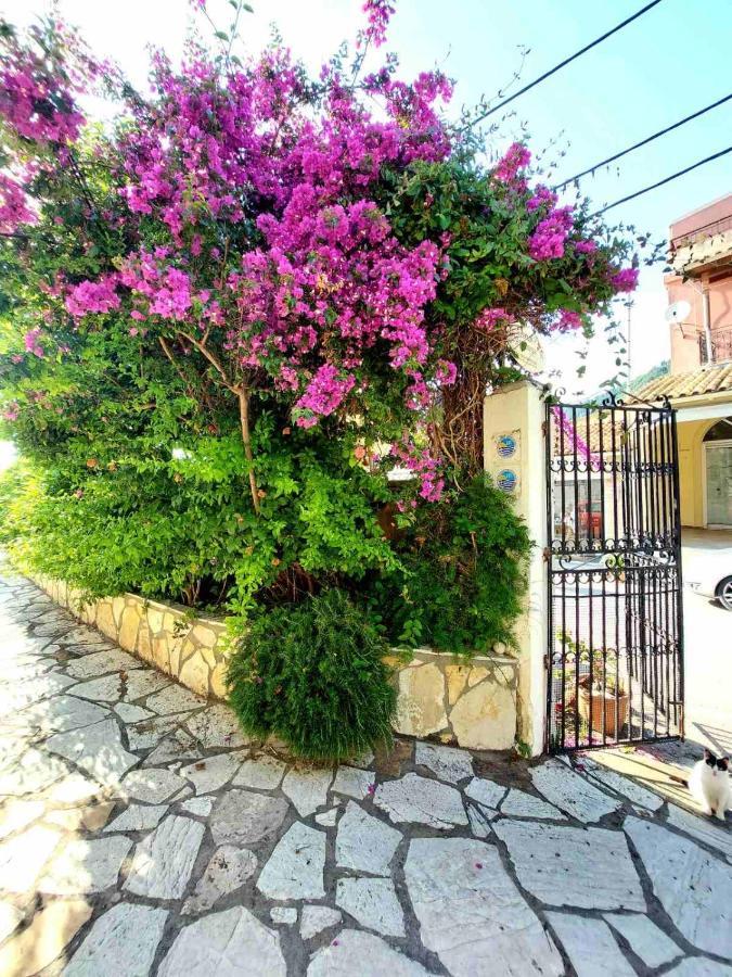 Dantina Agios Gordios Apartment *