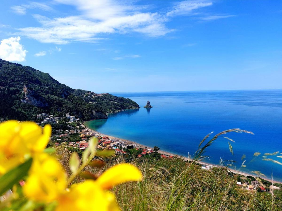 Dantina Agios Gordios Διαμέρισμα *